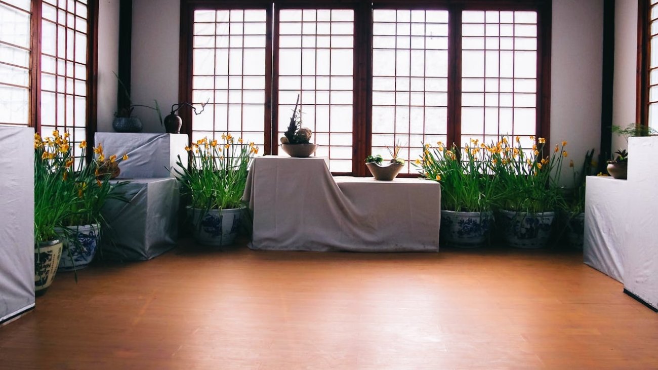 A peaceful indoor garden scene with flowerpots and wooden flooring.